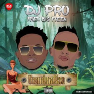 Unanimaliza (feat. Big Fizzo)